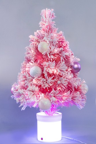 Christmas tree world the - world,